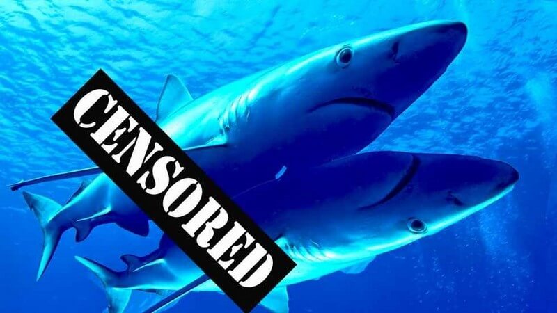 shark - censored