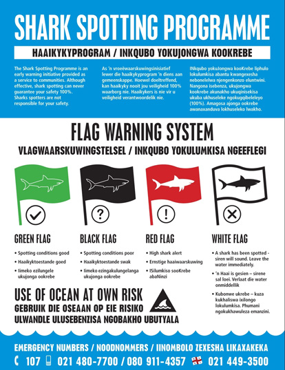 Shark Spotter's Flag Warning System used to raise public shark awareness