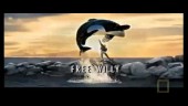 free willy