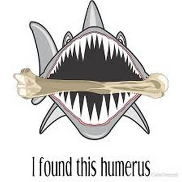 Shark biting a bone cartoon