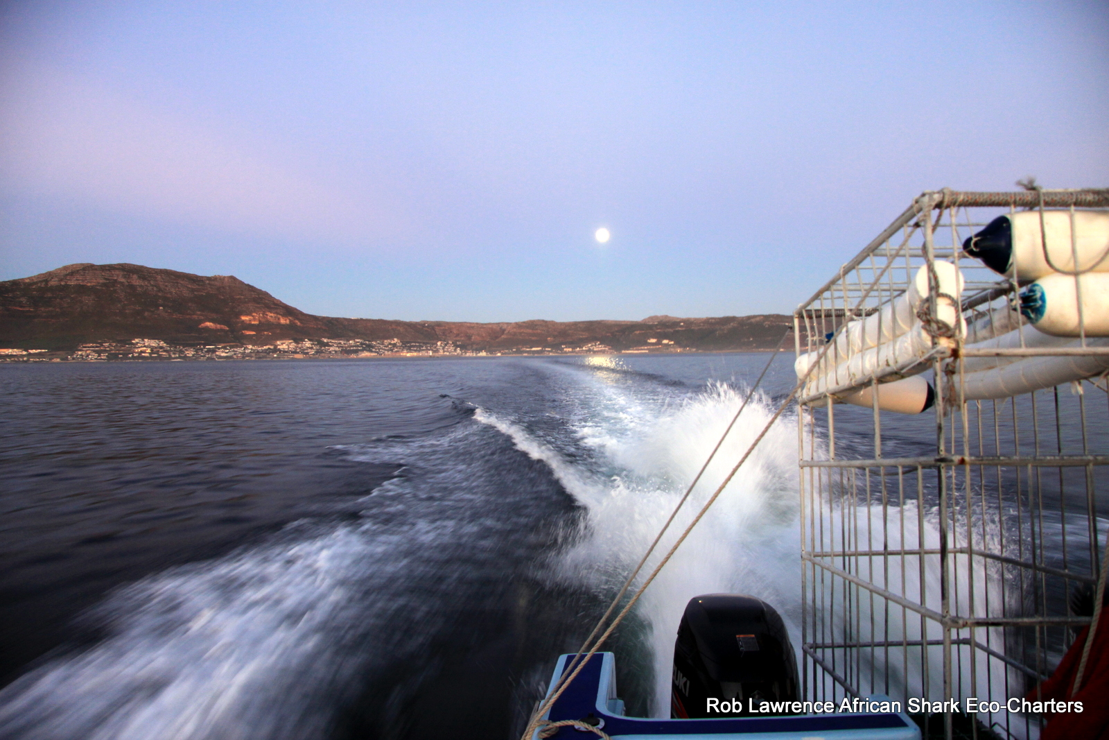 The moon is still in the sky as we head to Seal Island