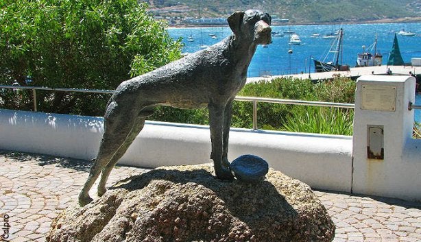 Just Nuisance statue in Simon's Town