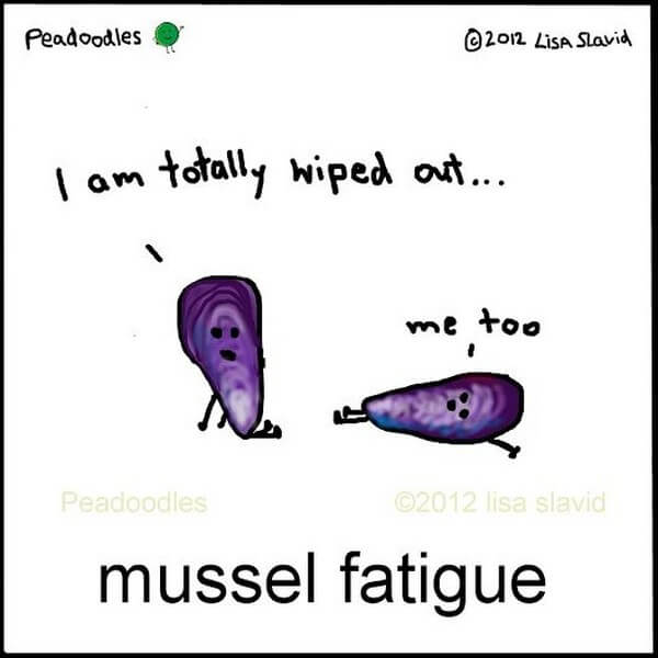 Mussel muscle joke