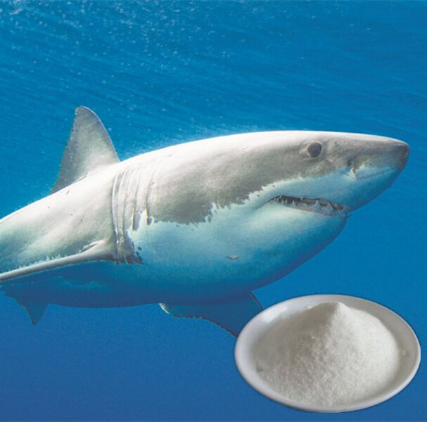 Shark cartilage in powder form