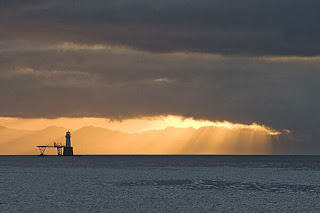 pelagic seabirds False Bay