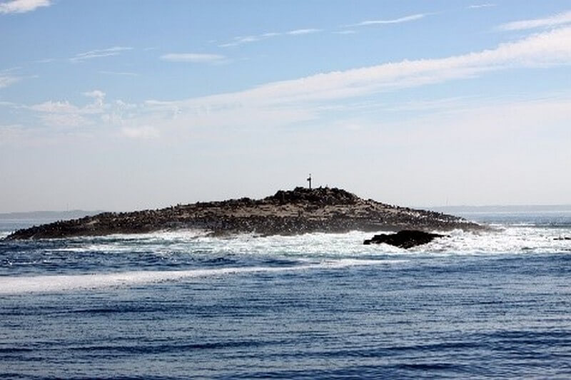 Seal Island