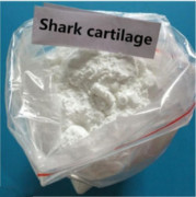 Shark cartilage in powder form