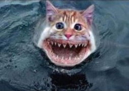 Silly mash up of a cat with shark's teeth in the ocean