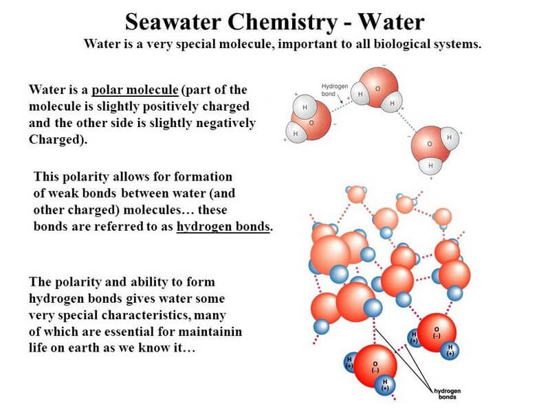 Polar molecule of seawater