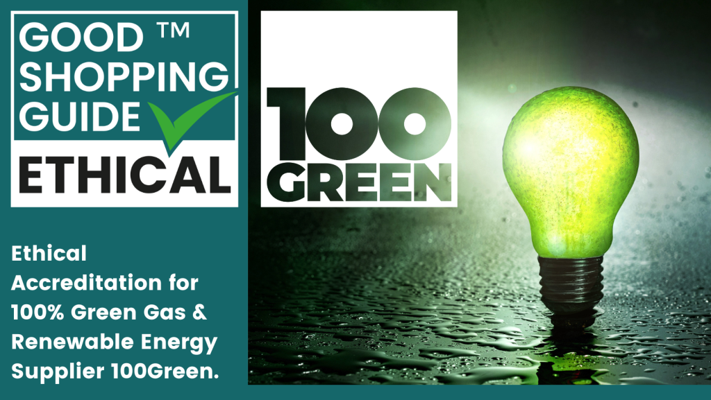 100Green: A leading light in sustainable energy in the UK