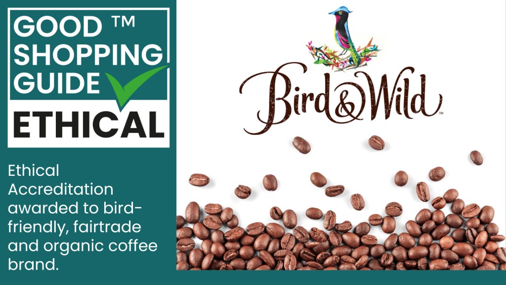 Bird & Wild: Brewing a better world with ethical coffee