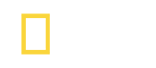 National Geographic Logo