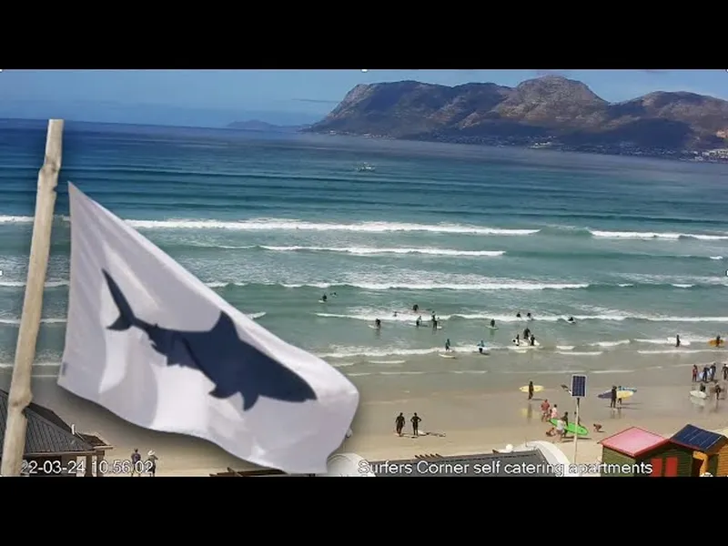 Shark Spotter White Flag flying in Muizenberg